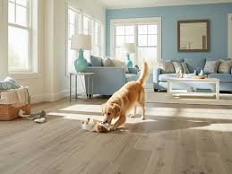 Barren Oak Vinyl Plank Flooring Guide